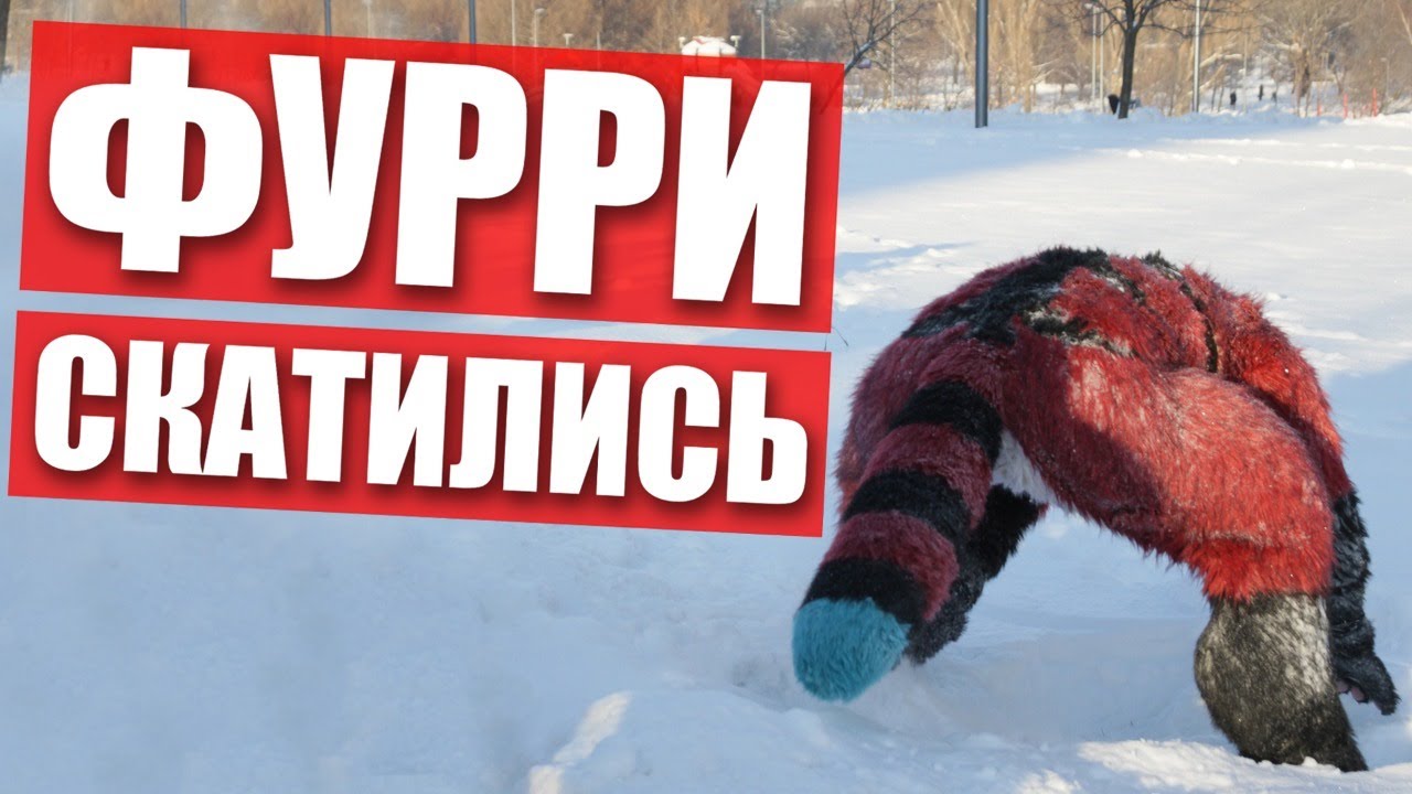 😥 ФУРРИ скатились ✅ ФУРСЬЮТ встреча в МОСКВЕ