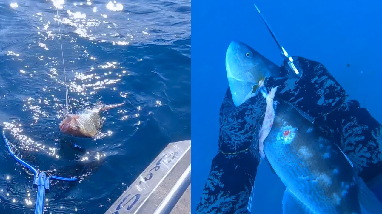 Kapiti Coast FISHING&DIVING - Deep sea snapper/Paua&Butterfish/Snapper on micro jigs