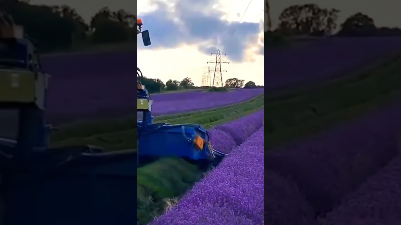 4. Mechanized Agriculture Technology & It's Beauty! #agriculture #mechanization #technology