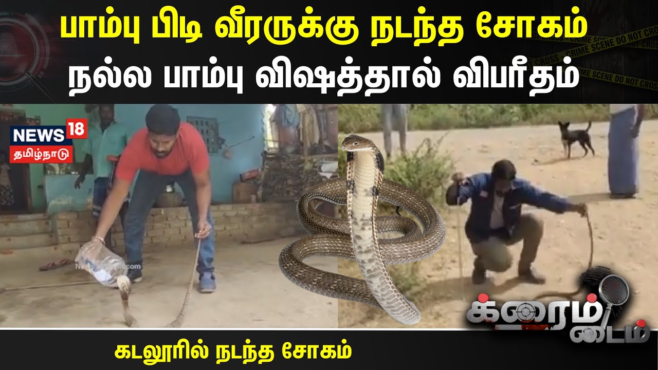 Crime Time | பாம்பு பிடி வீரருக்கு நடந்த சோகம் நல்ல பாம்பு விஷத்தால் விபரீதம் | Cuddalore | Snake