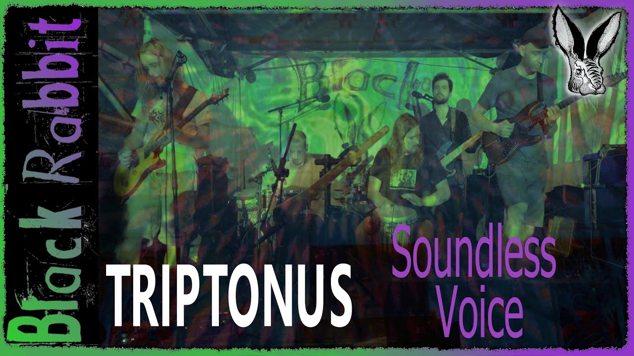 Triptonus - Soundless Voice | Live at Black Rabbit (Arena Beisl Bierwoche 2024)