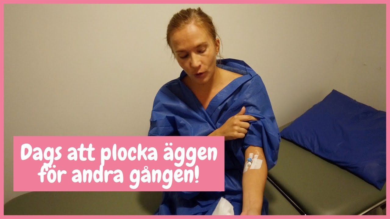 Får vi tillräckligt många ägg?