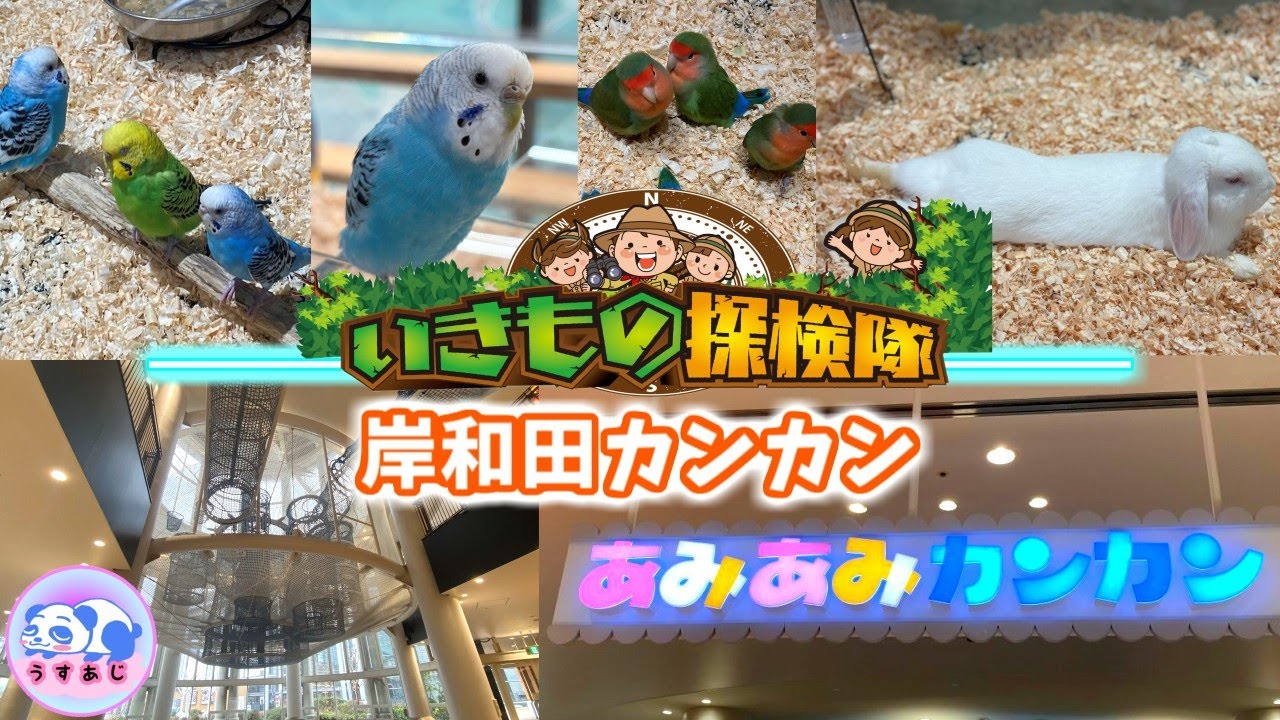 【岸和田カンカン】動物と触れ合える施設が楽しすぎた！子連れおでかけ★大阪の室内商業施設の室内遊具/いきもの探検隊&あみあみカンカン/子ども/遊び場