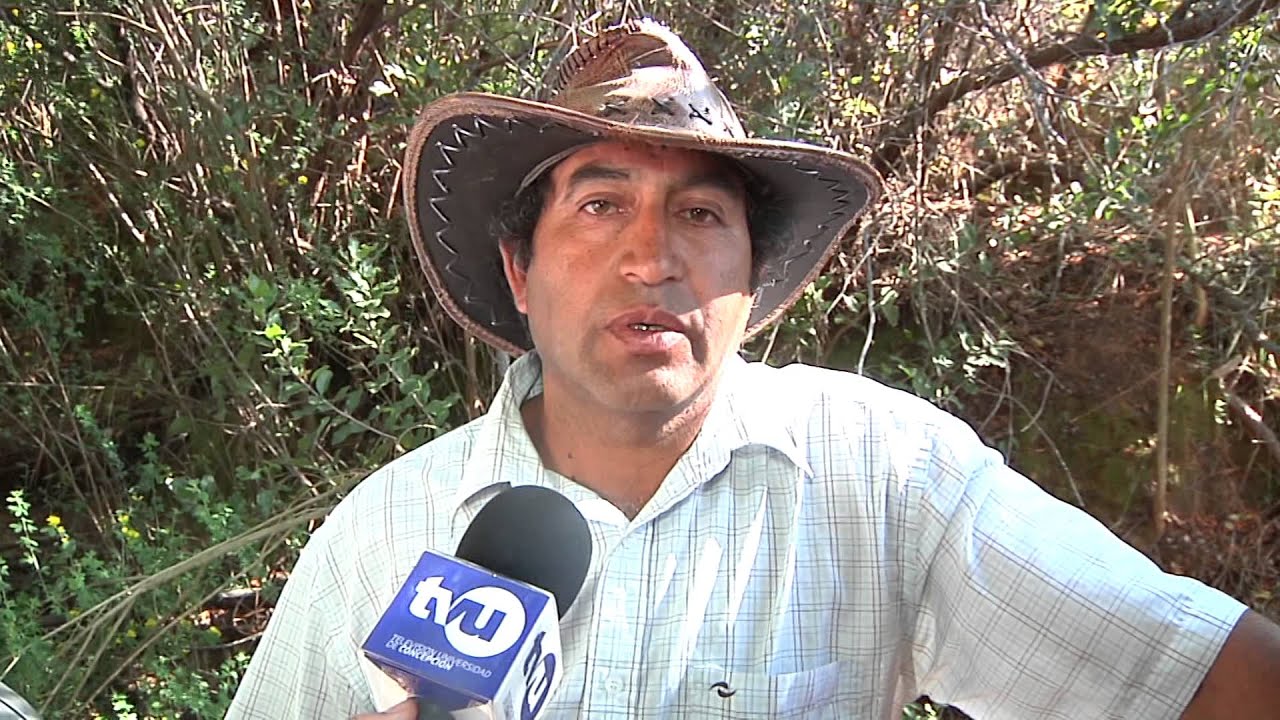 La verdad tras la cantera clandestina de Hualqui