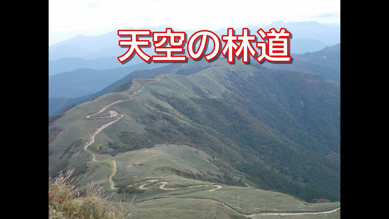 【絶景】天空の林道ツーリング！