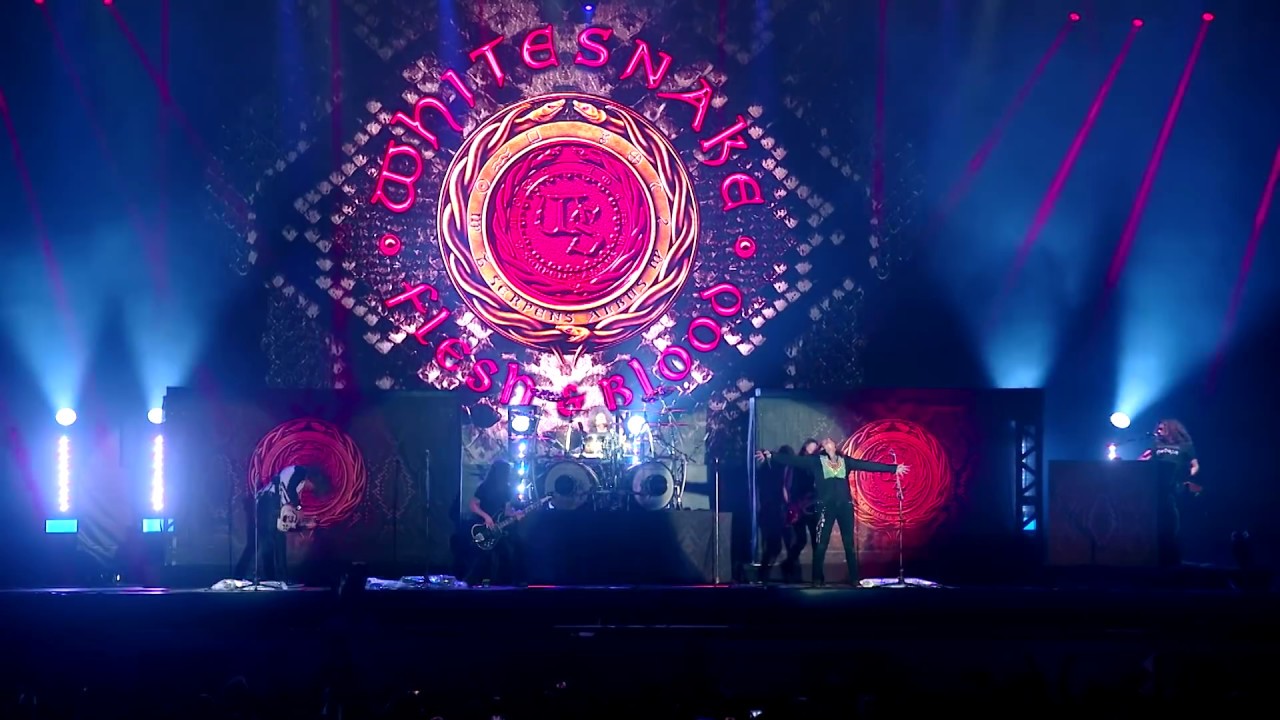 Whitesnake - Hey You (You Make Me Rock) - Flesh & Blood World Tour - A Video Gift For You