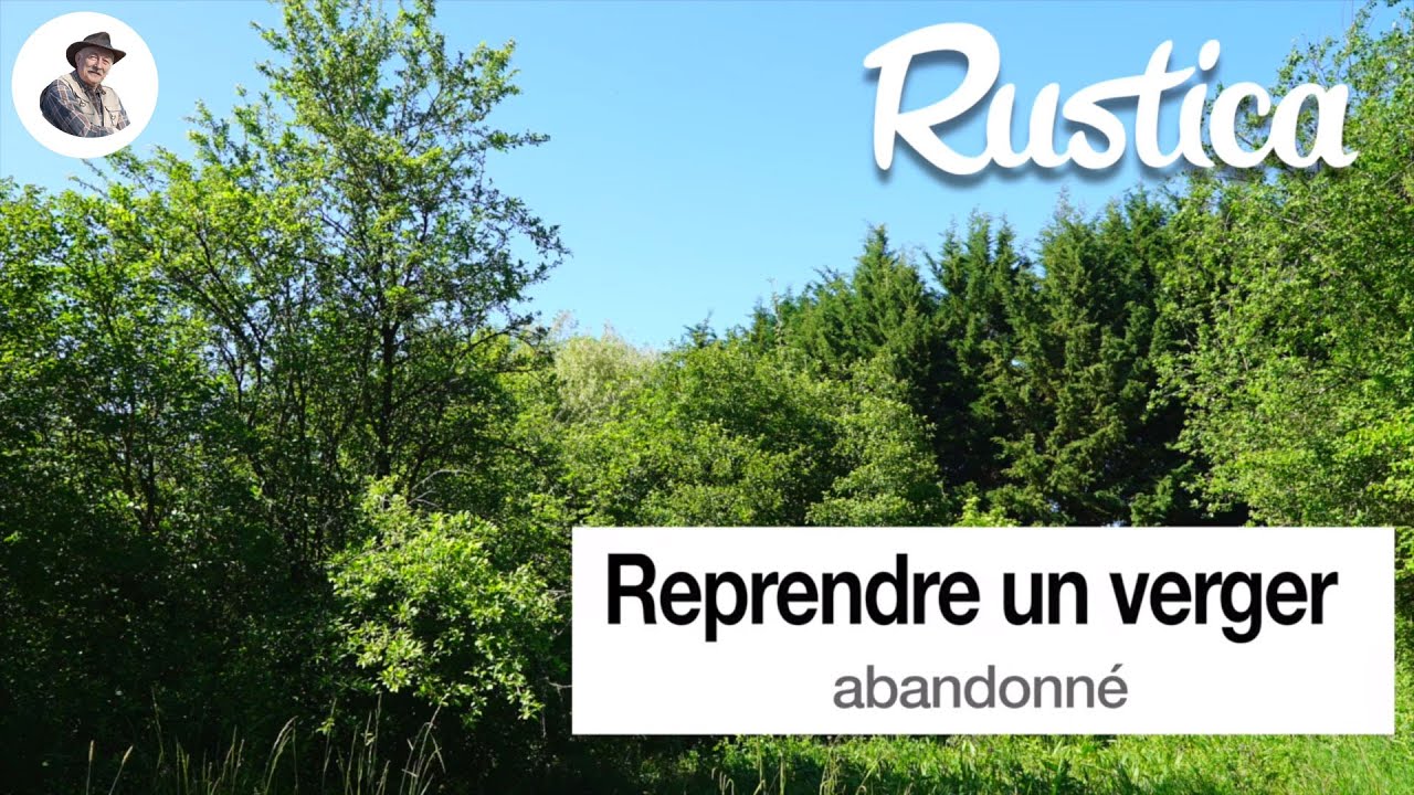 Reprendre un verger abandonné