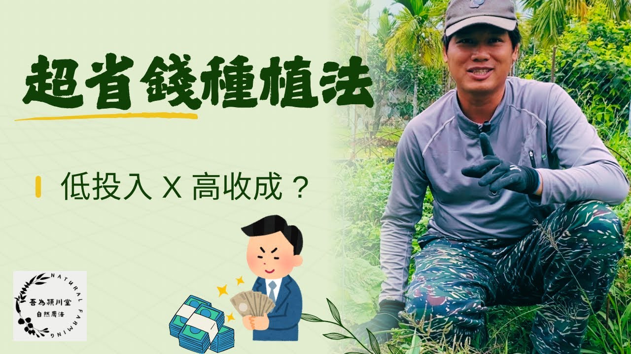 低成本種植法 [吾為潁川堂 自然農法]