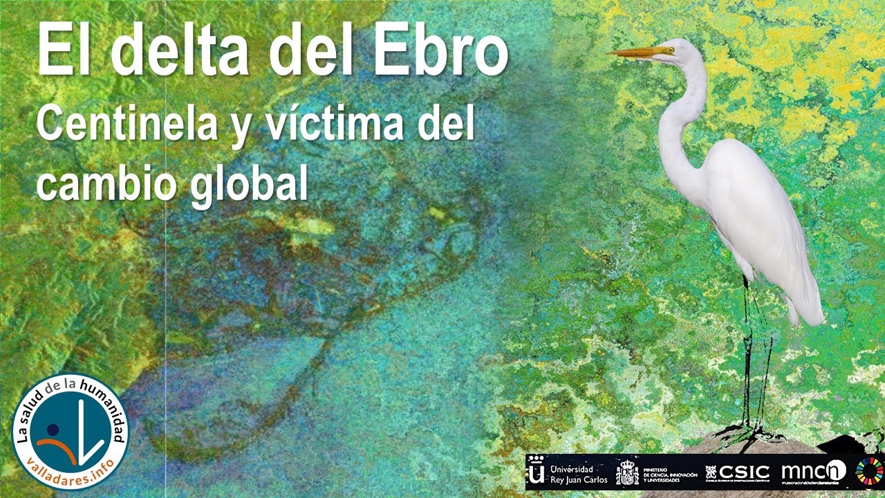 18 El delta del Ebro  - Centinela y víctima del cambio global