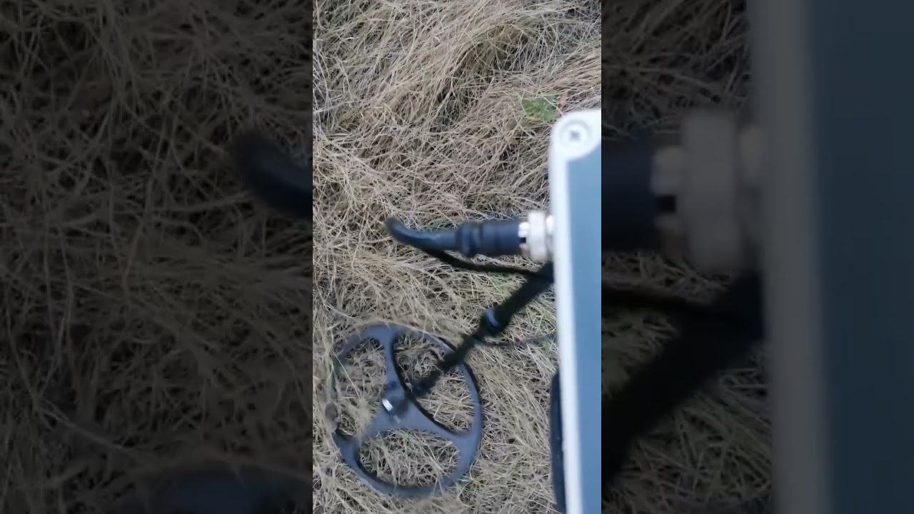 Metal detector Triumph