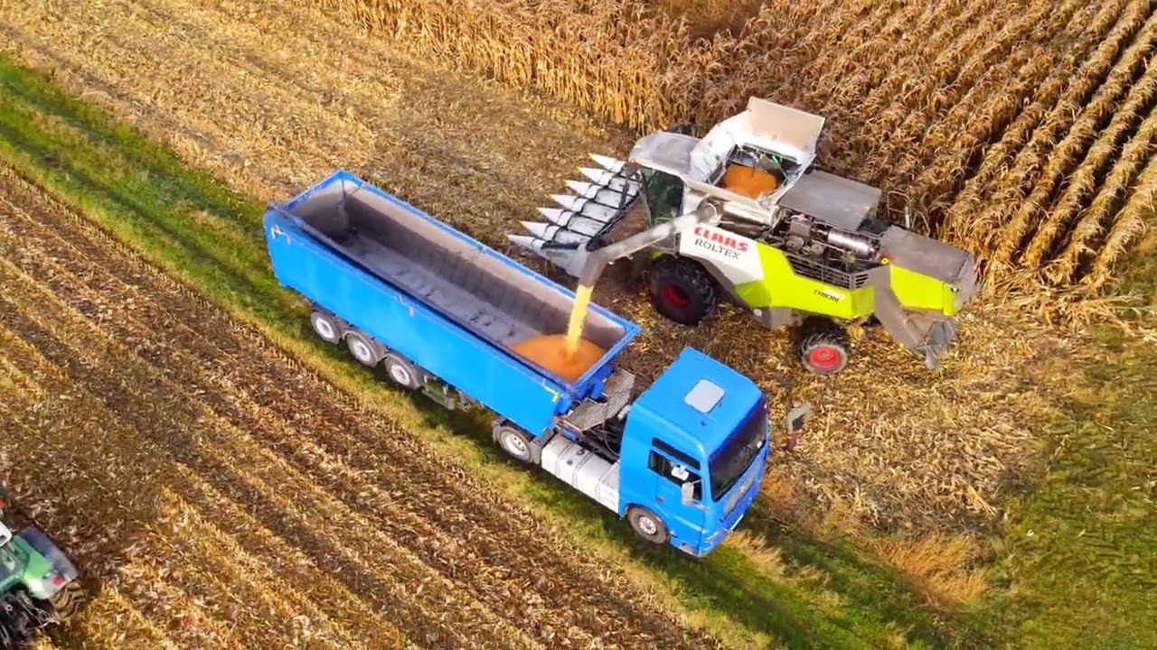 Claas trion 530 zbiór ziarna kukurydzy Lendzion Usługi rolnicze i handel😉 DJI Air2