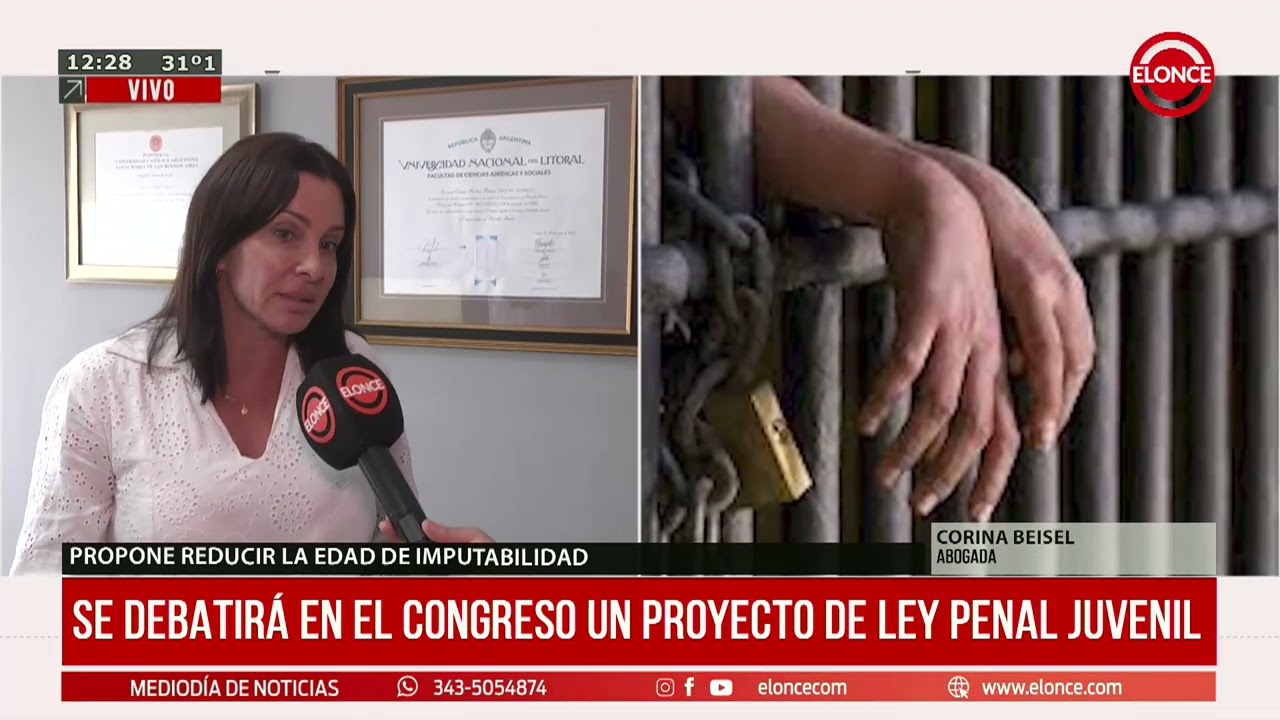 Se debatir&aacute; en el Congreso un proyecto de Ley Penal Juvenil - Elonce