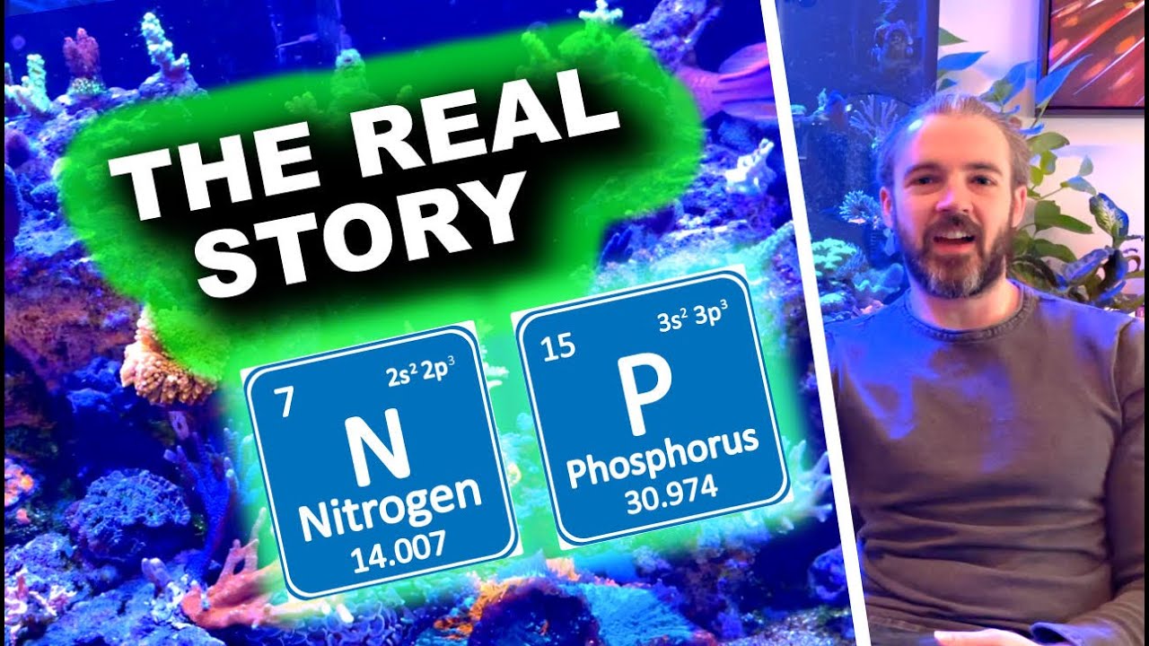 Nitrate and Phosphate - The Real Story