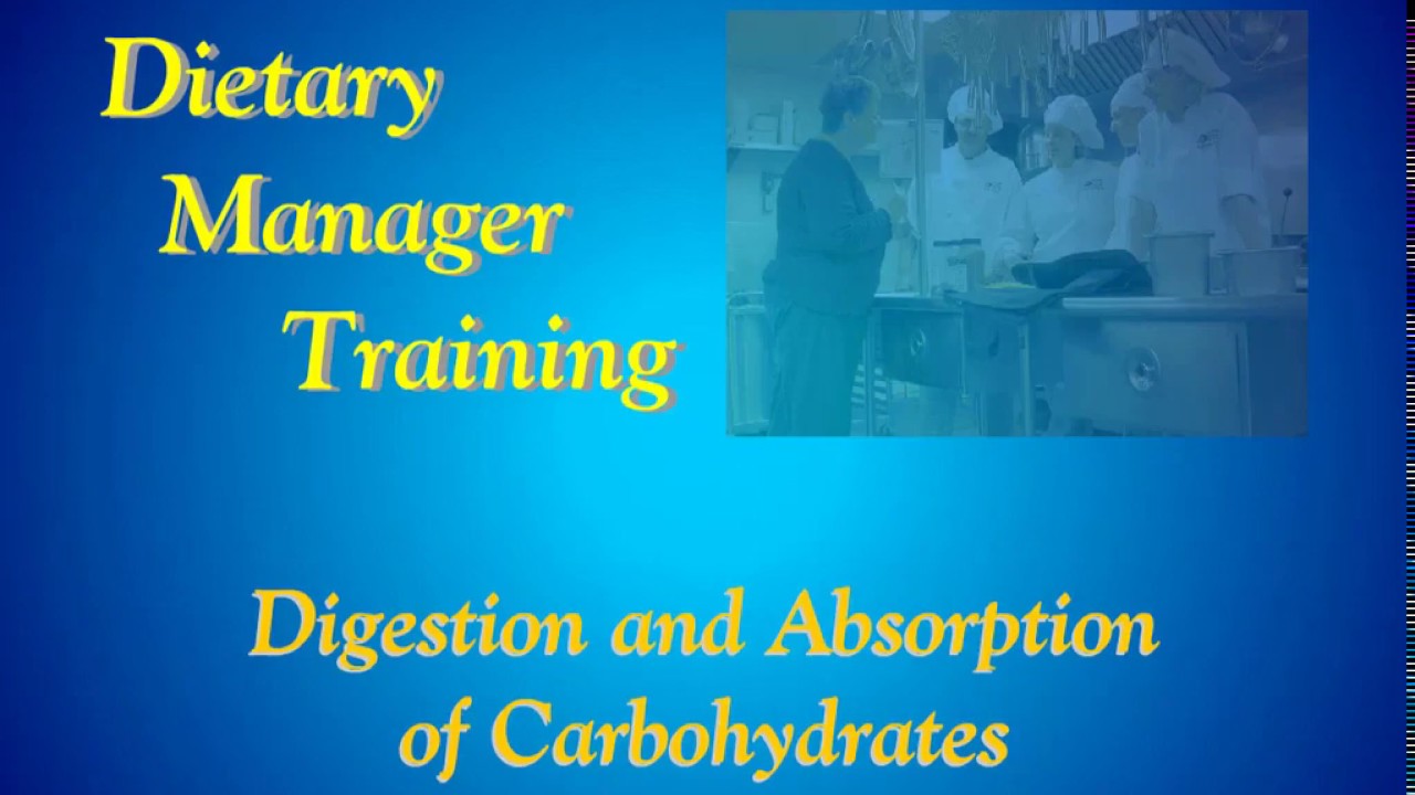 Dietary Manager Training  Digestion and Absorption of Carbohydrates Screencast