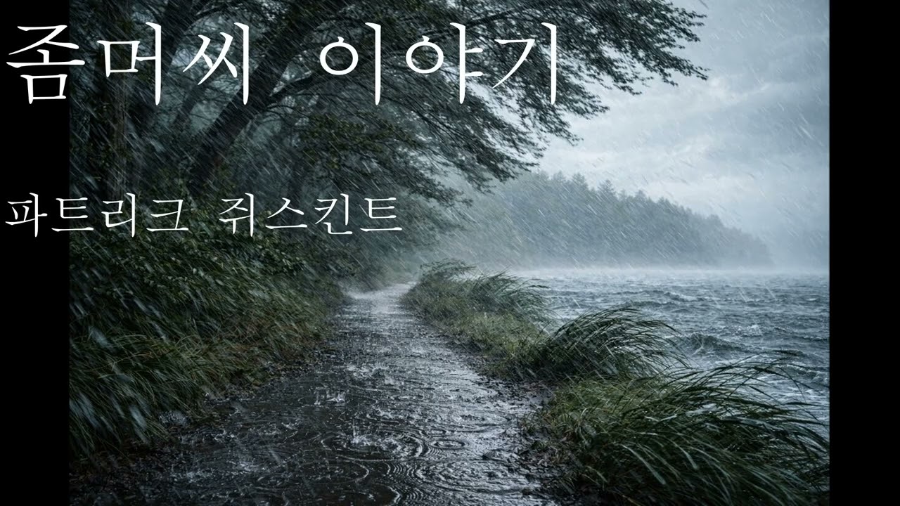 좀머씨 이야기 2 완독/파트리크 쥐스킨트