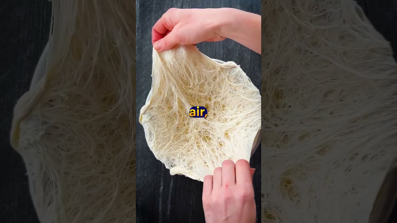 Why sourdough starter moves ?