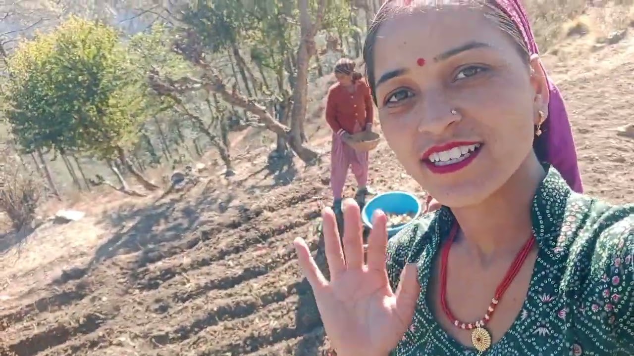 Mere mayke mai  lagaye aalu🥔🥔