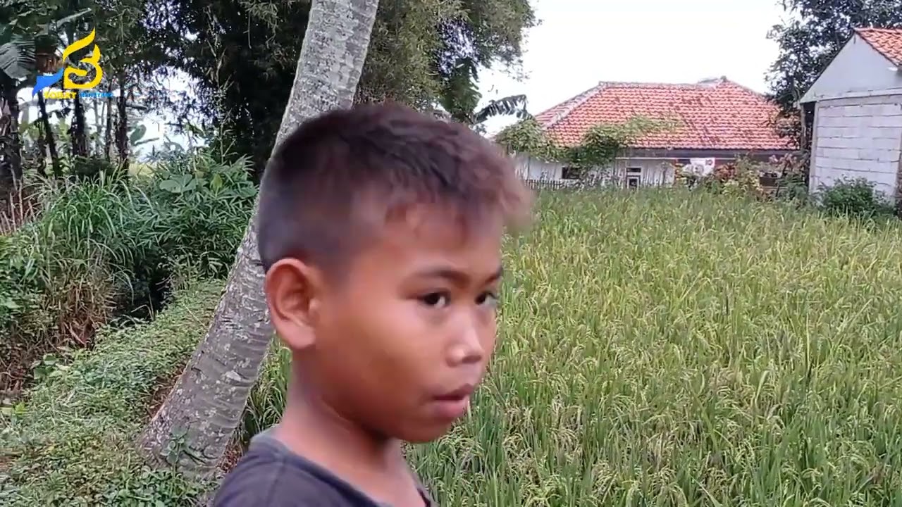 PERJALANAN MENUJU DESA TALUN BANJARAN YANG MASIH ASRI