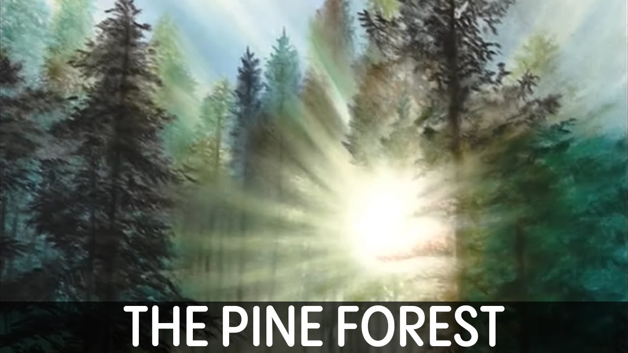 ✨Embrace the Magic of the Pine Forest with Soft Pastels Set Drawing!✨