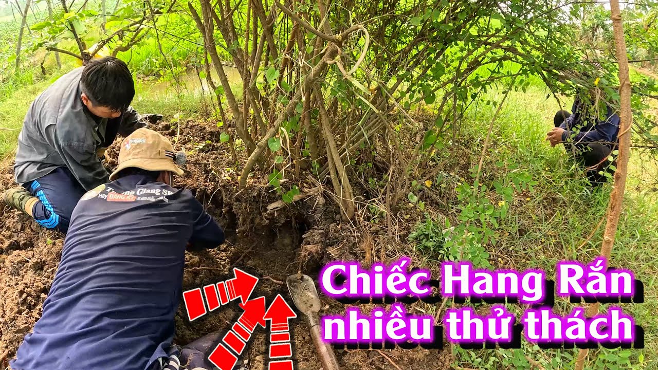 Kĩ năng bắt được RẮN trong hang nhiều ngõ ngách | TGSB #1054