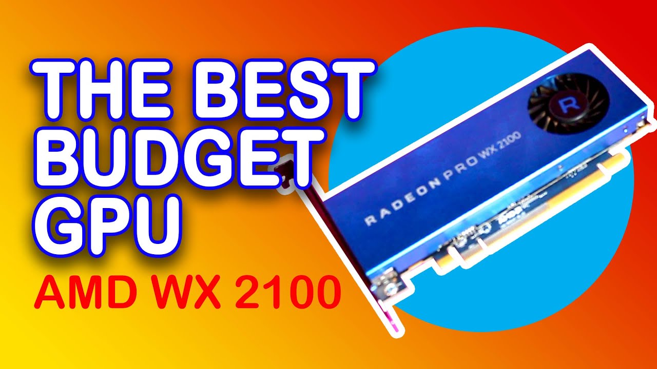 BEST BUDGET GPU | AMD WX 2100 PRO