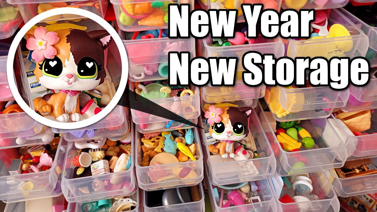 I Organised EVERY LPS accessory I own