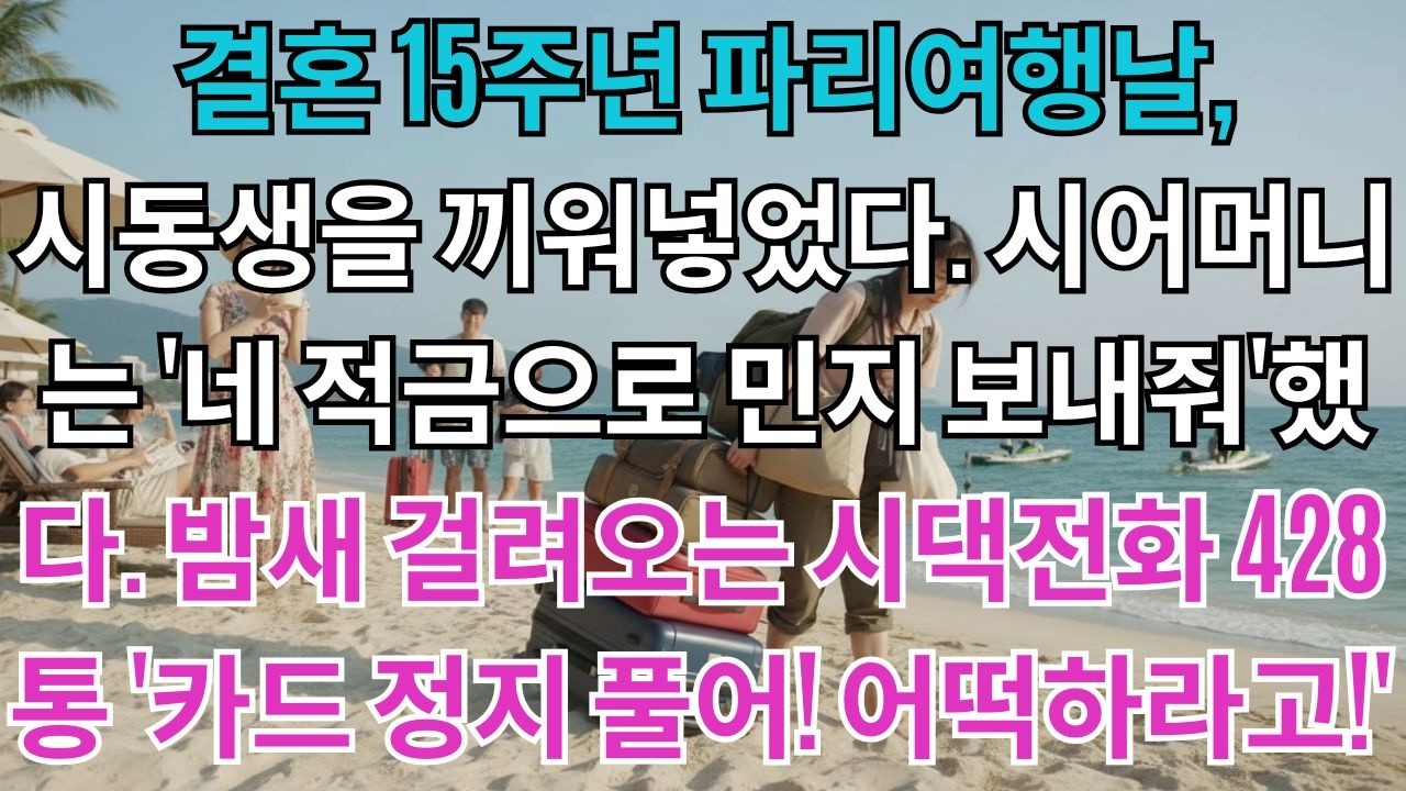 결혼 15주년 파리여행날 시동생이 내 자릴 뺏었다.시어머니는 '네 적금으로 민지까지 보내'했다.내 카드로 명품쇼핑한 시동생.밤새 걸려오는 시댁전화 428통'카드 정지시키면 어떡해!