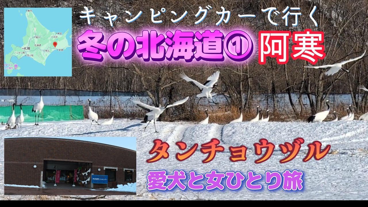キャンピングカーで行く冬の北海道①阿寒タンチョウヅル　愛犬と女ひとり旅