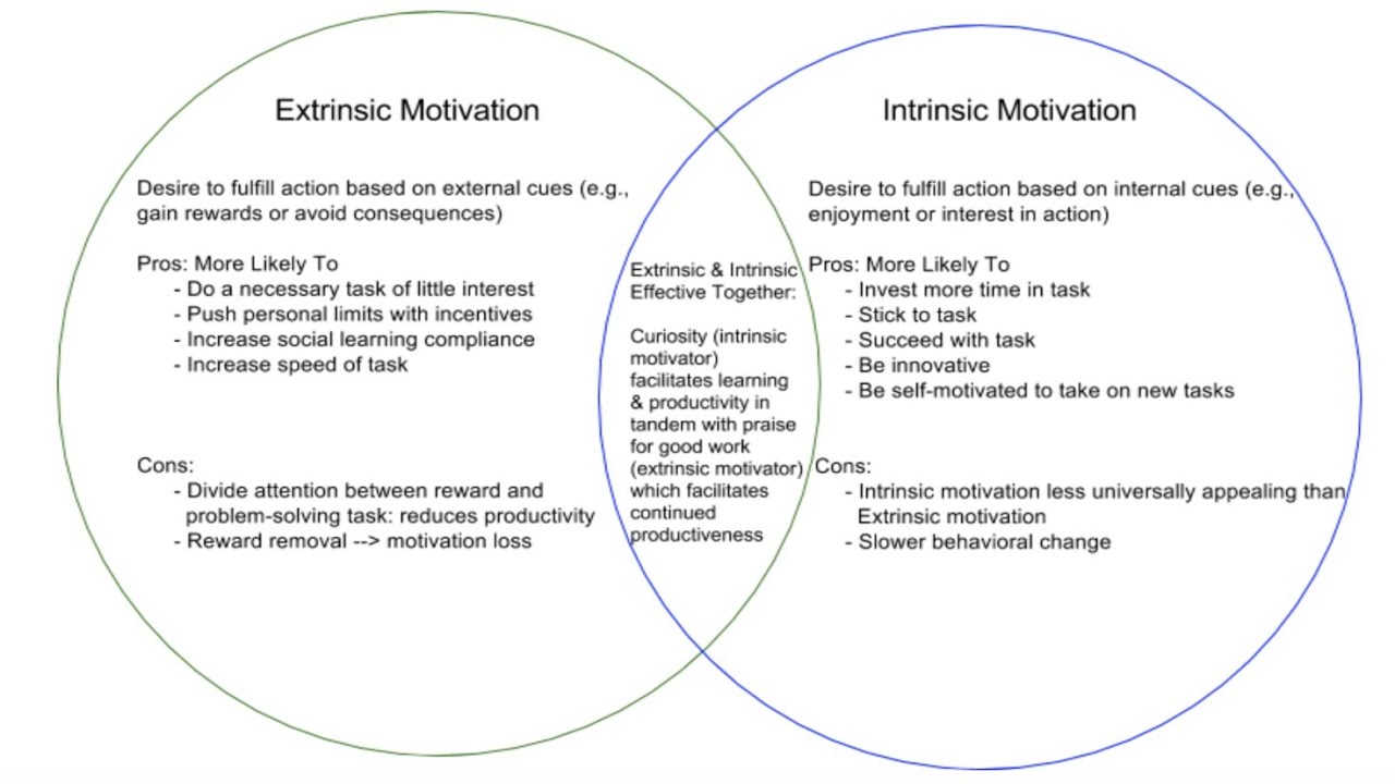 My extrinsic and intrinsic motivation. Part 1. Early years.