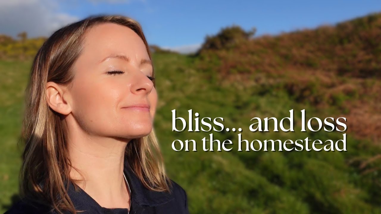 homestead happenings | spring in the Irish countryside