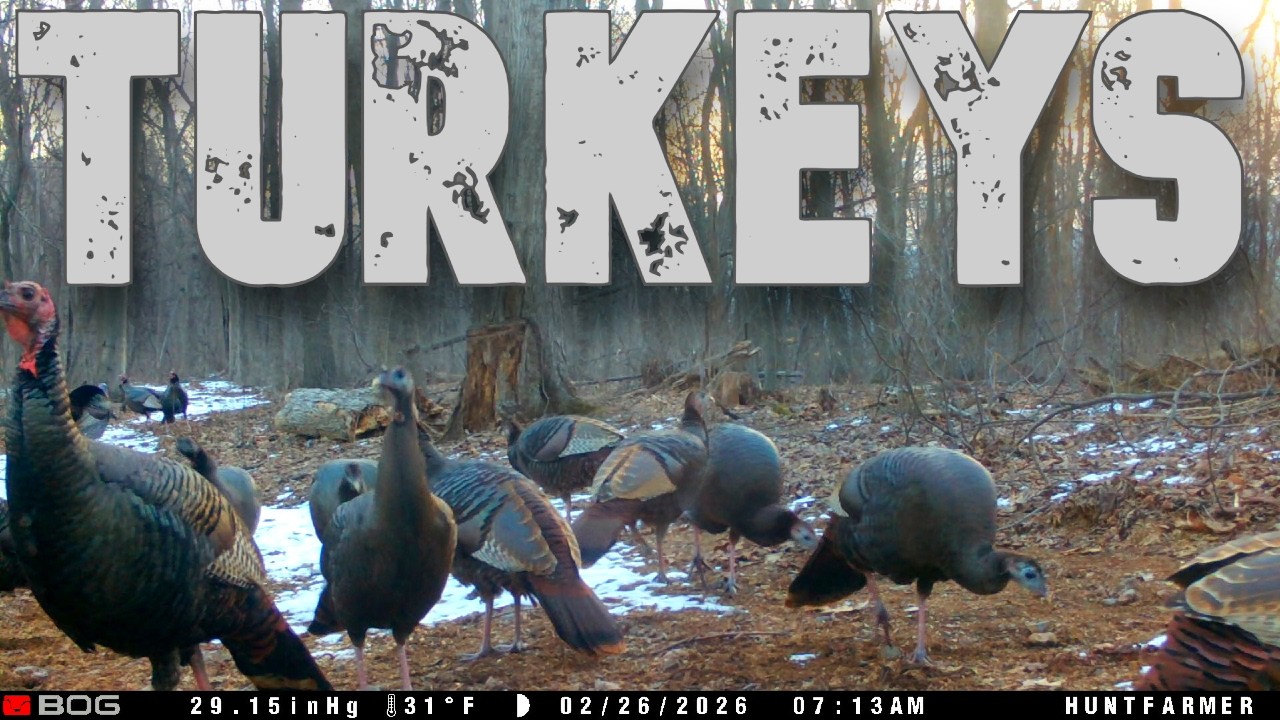 What the FLOCK Does in Winter