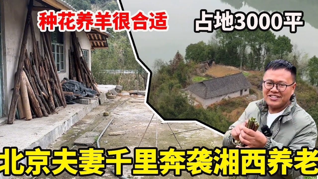 北京夫妻开车1700公里到湘西，打算在山里买房子养老，占地3000平种花养羊很合适【康居别院】