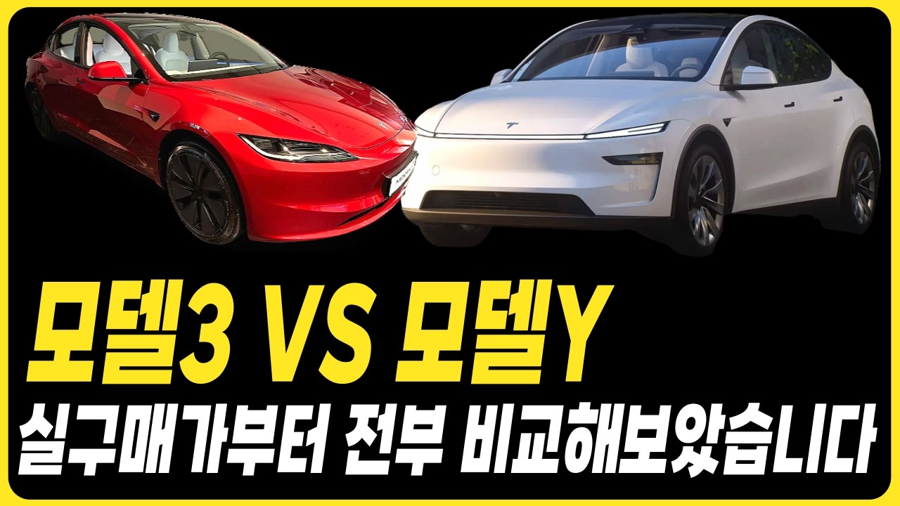 모델3 모델Y 확실히 정리해드립니다 장기렌트 리스 할부 보조금