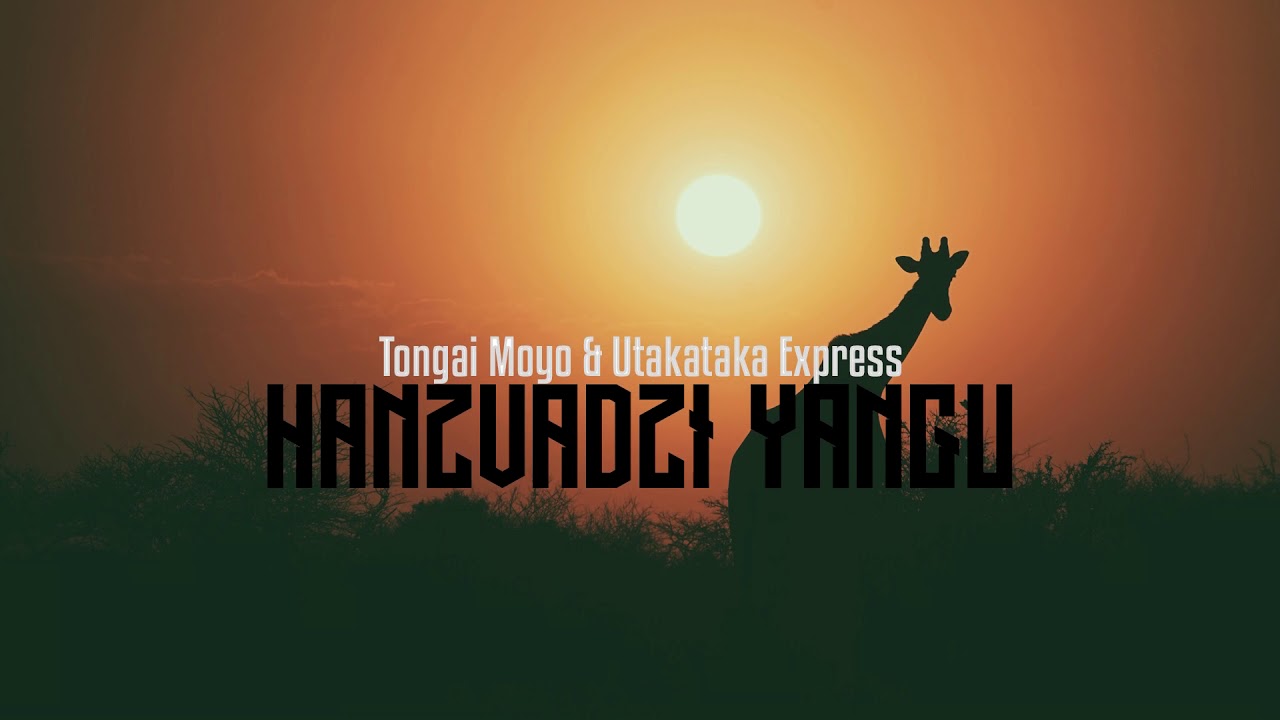 Tongai Moyo - Hanzvadzi yangu