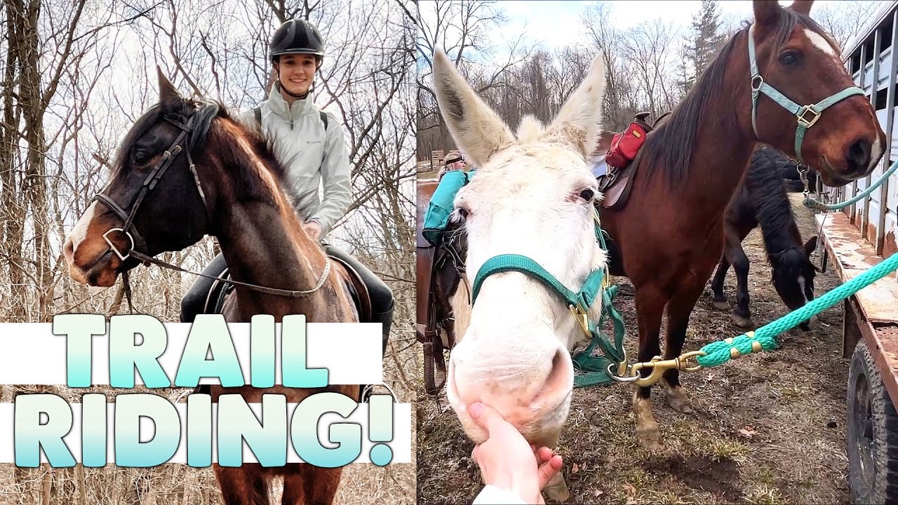 Trail Riding Mickey Off Property for the First Time! *fun chaos*