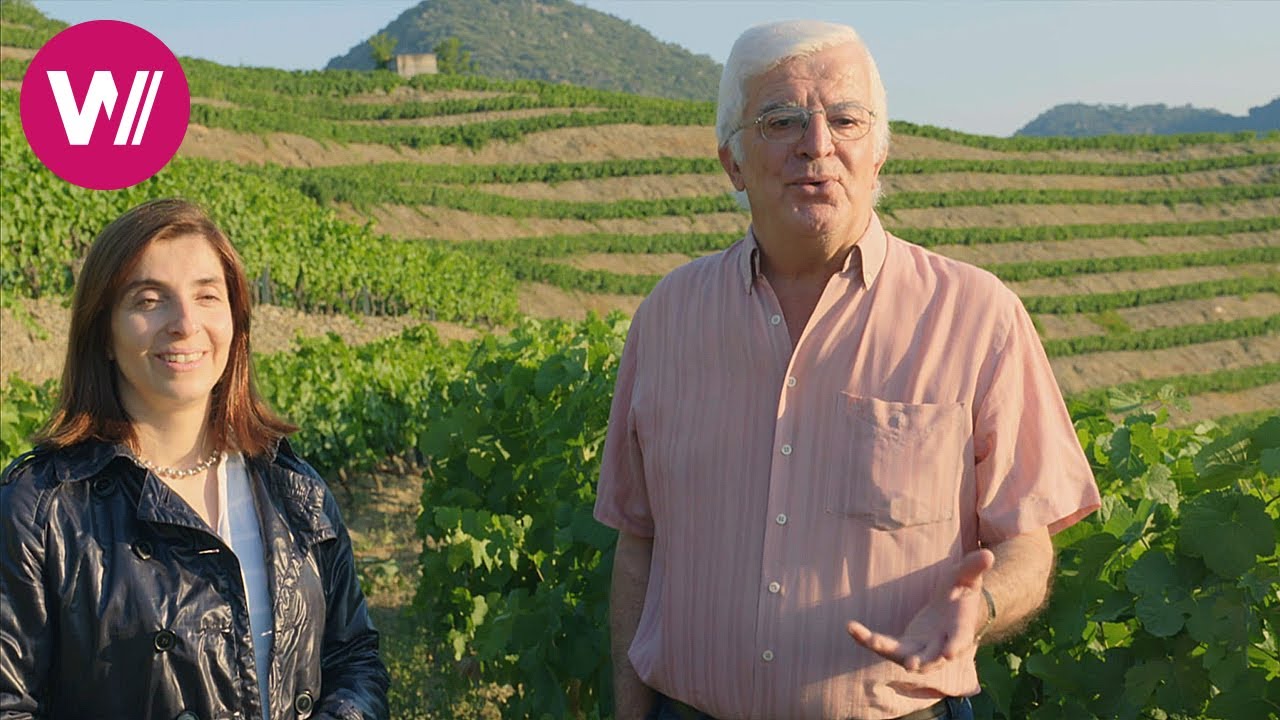 Portwein vom Weingut Quevedo - Die Tochter übernimmt das Familienunternehmen