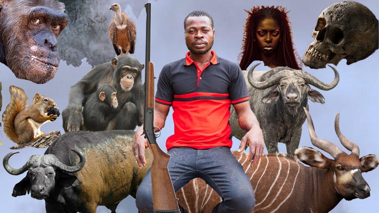 Eeii🤨WONDERS, A Giant BUFFALO collected my gun. I saw a group of DWARFS Cooking. I Met Spirits .