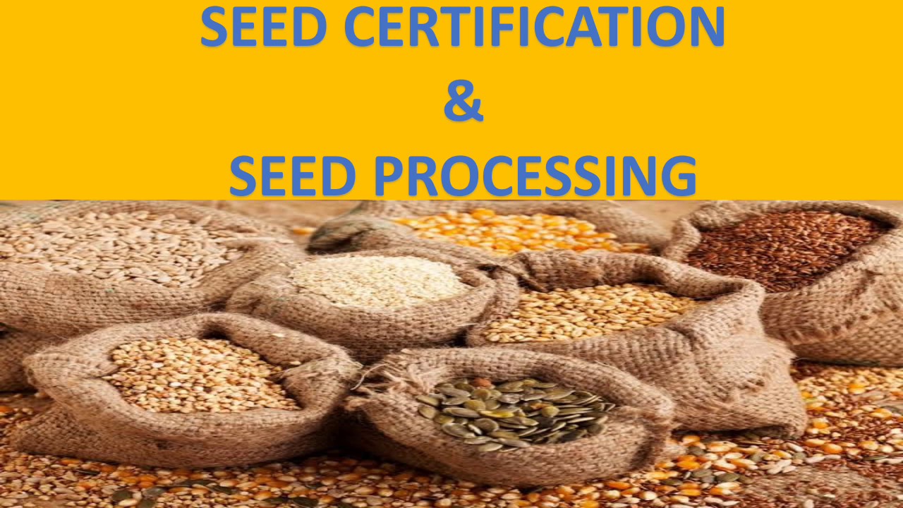 Seed certification | seed Processing