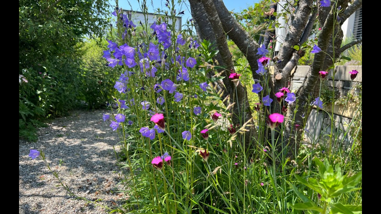 Biodiversit&auml;t im Garten (Teil 3) &ndash; So kommt der Garten mit Trockenheit klar