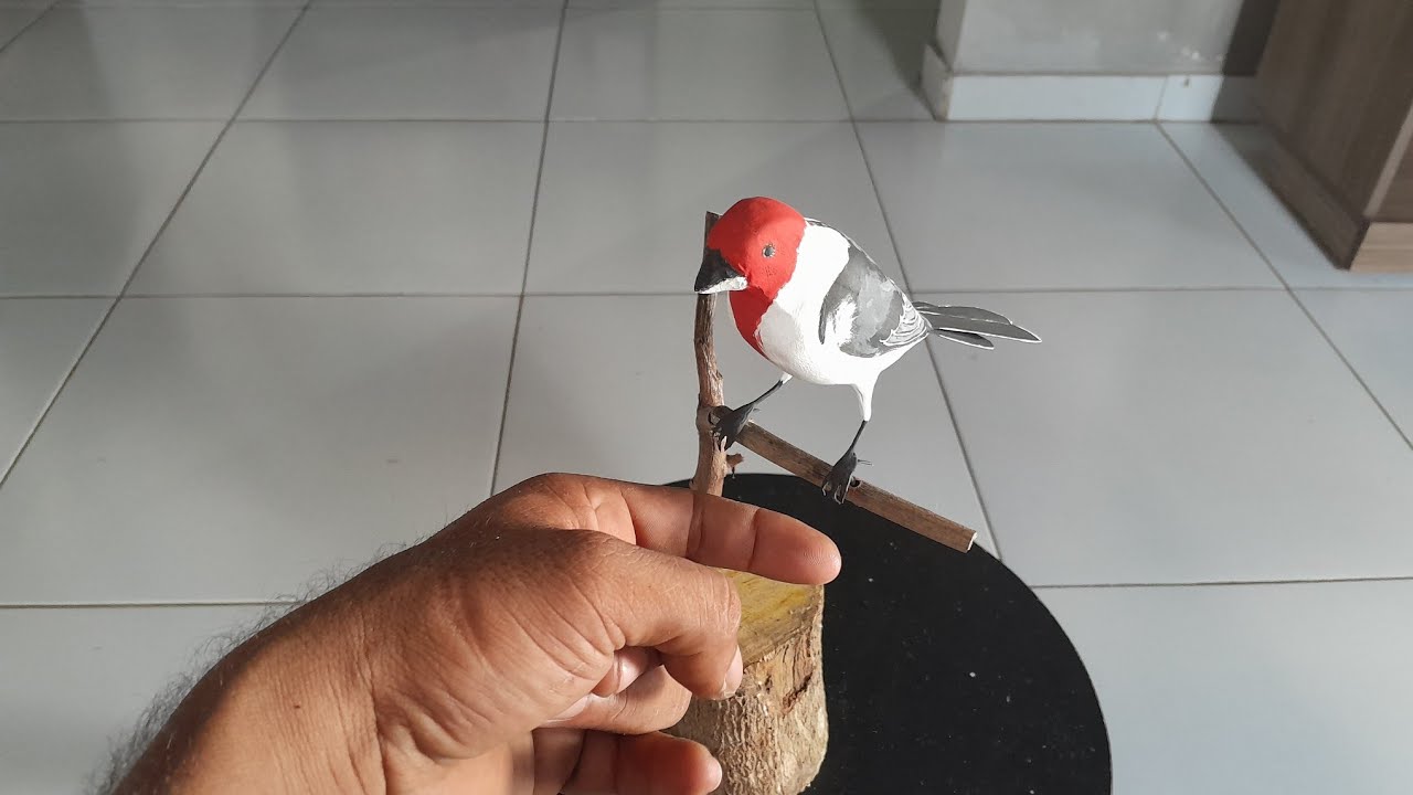escultura de pássaros galo de campina finalizado