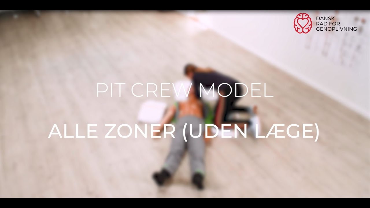 Pit Crew Model - alle zoner