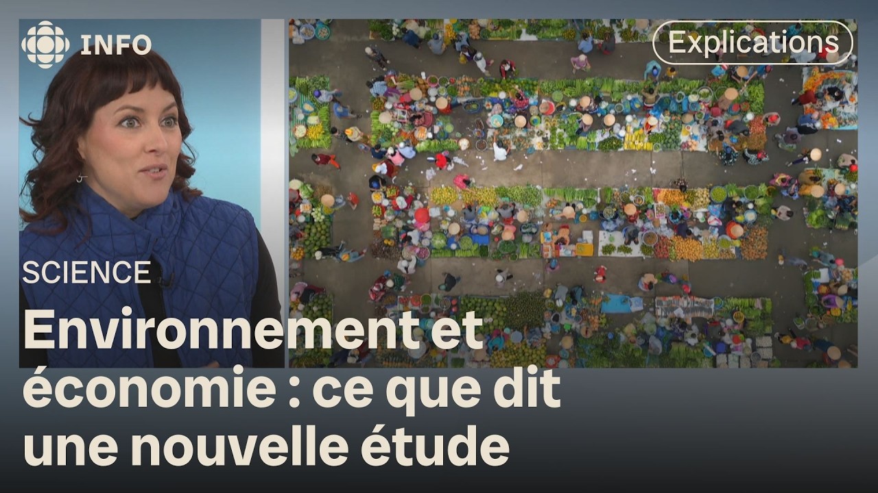 L'argent pour les entreprises vertes : résumé d'une nouvelle étude