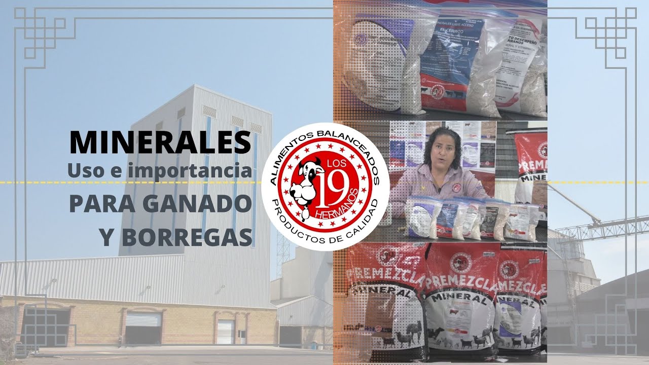 MINERALES PARA BORREGAS Y CHIVAS