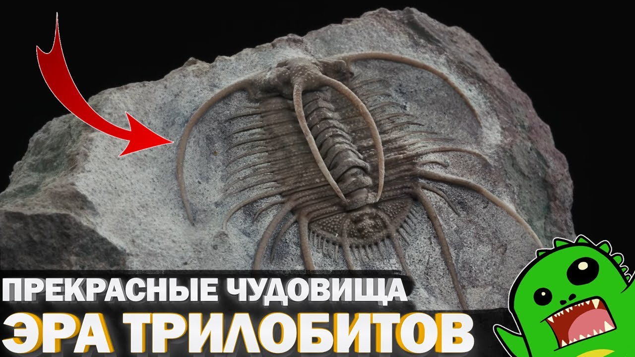 ПРЕКРАСНЫЕ ЧУДОВИЩА - «По следам монстров» Серия 2