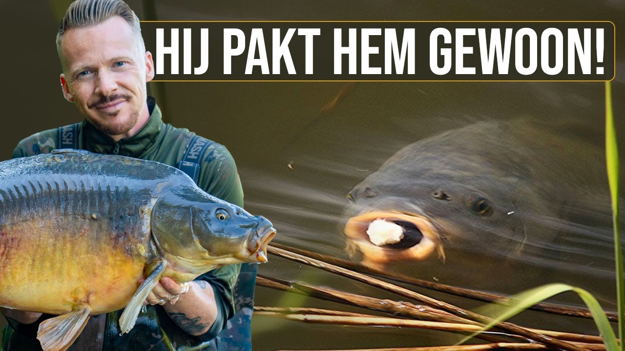 ZO VANG JE MEER IN DE ZOMER! | Karpervissen aan de oppervlakte en met de zig-rig