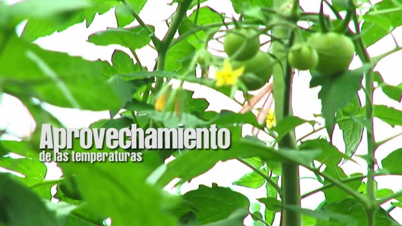 La agricultura en Almería.