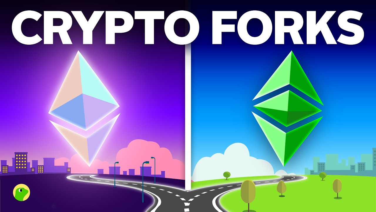 Зачем существуют Ethereum Classic и Bitcoin Cash?