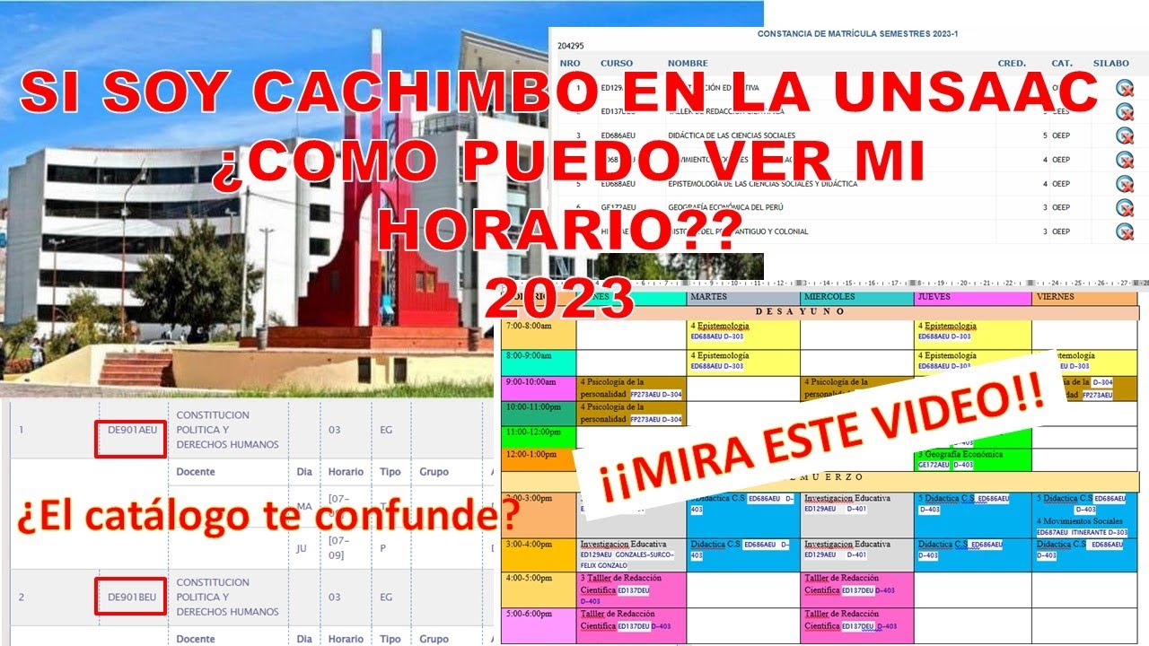COMO PUEDO VER MI HORARIO SI SOY CACHIMBO EN LA UNSAAC, el catalogo te confunde 2023 mira este video
