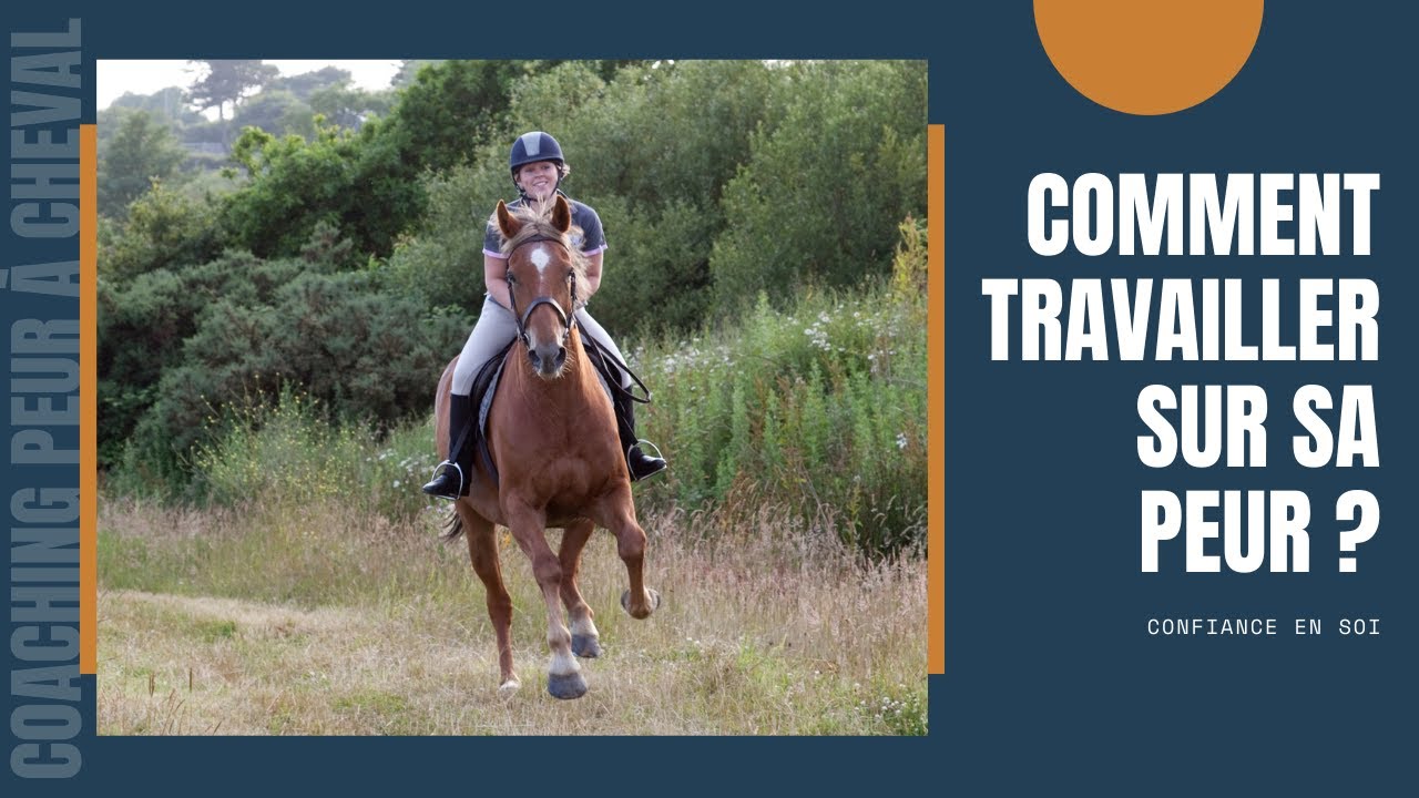 [Coaching peur &agrave; cheval] - Comment travailler sur sa peur