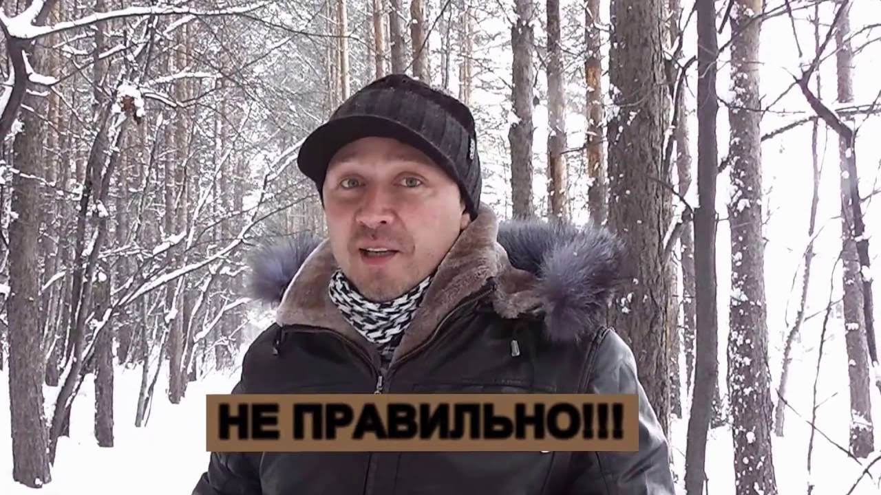 я и мой хвост. первый выгул щенка